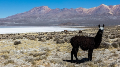 Фото: Diego_Delso, visualhunt.com