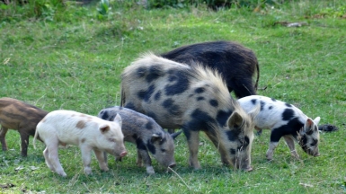 Фото нашего гида Ирины Пряничниковой.