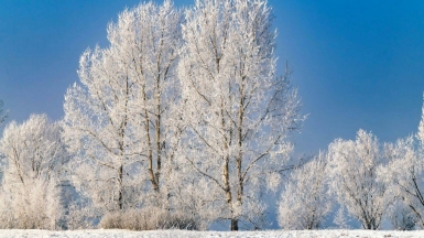 Фото: Aleksandr Gorlov on Unsplash