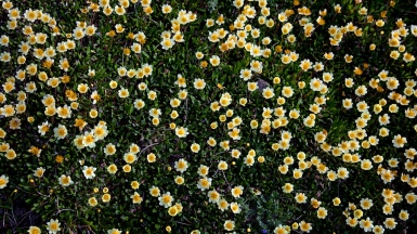 Авачинский вулкан, фото: Степанов Илья