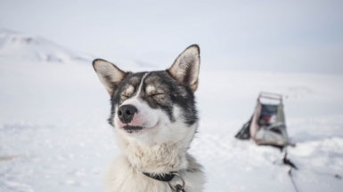 Фото: James Padolsey, unsplash.com