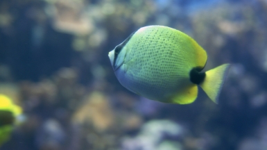 Автор: washuugenius.
Источник: visualhunt.com