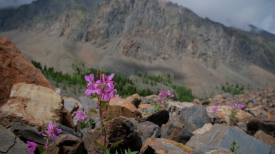 Фото нашей Странницы Марины Шумаковой