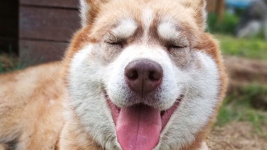 Фото нашего гида Ирины Пряничниковой