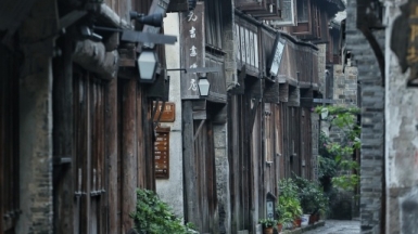 Фото: Will Zhang, pixabay.com