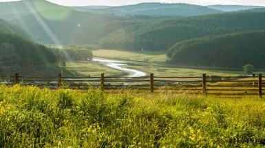 Фото: Алексей Морозов