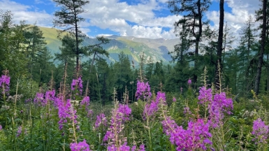 Фото наших Странников