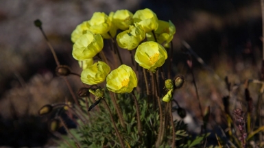 Фото из архива Клуба