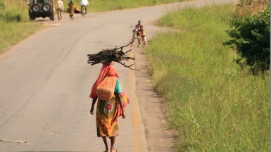 Фото: Marc Veraarta, visualhunt.com