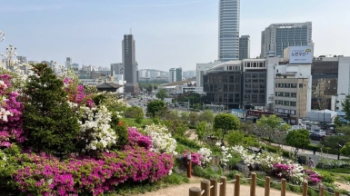 Фото нашей Странницы Светланы Фоминой