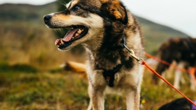 Фото: till daling on unsplash