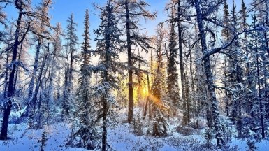 Фото нашего гида Дмитрия Эскина
