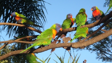 Фото: Shantigirl. Источник: visualhunt.com