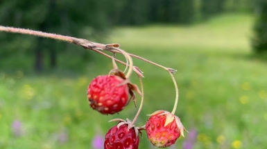 Фото нашей Странницы Татьяны Вавиловой