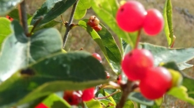 Фото наших Странников