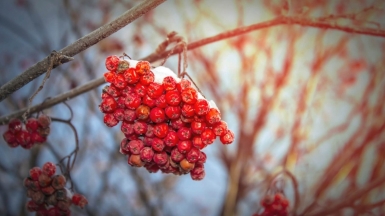 Источник: depositphotos.com