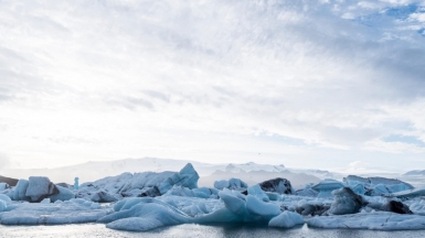 Фото: Majkl Velner, unsplash.com