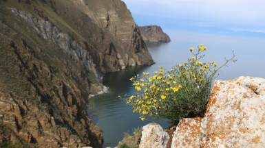 Фото нашего Странника Антона Дули