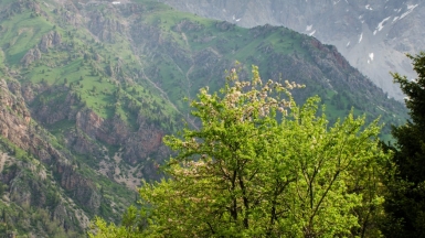 Фото нашего гида Анатолия Жидкова