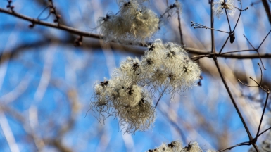 Фото нашего Странника Романа Салманова