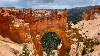 Фото: Matt Thomason, unsplash.com