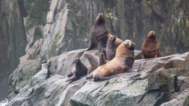 Фото из архива Клуба