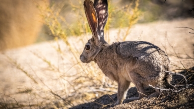 Фото: Rick J. Brown, unsplash.com