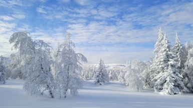 Фото из архива Клуба