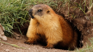 Фото из архива Клуба