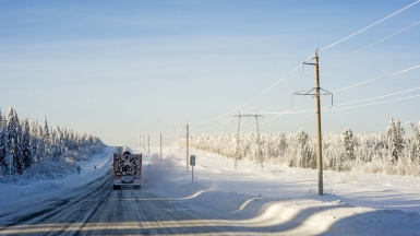 Фото: Aleksei Zaitcev, unsplash.com