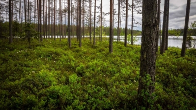 Фото нашего гида Михаила Верёвченко