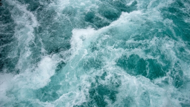 Фото: matt power on unsplash