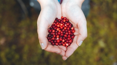 Фото из архива Клуба