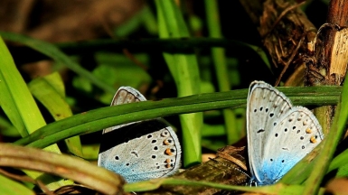 Фото наших Странников