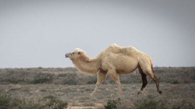 Фото нашего гида Михаила Верёвченко