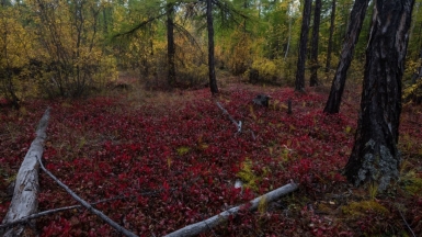 Фото нашего гида Михаила Верёвченко