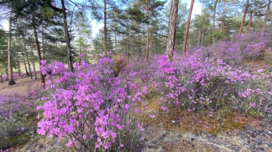 Фото из архива Клуба