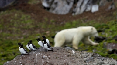 Фото из архива Клуба
