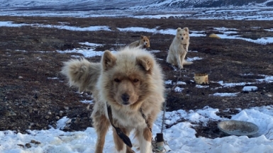 Фото из архива Клуба