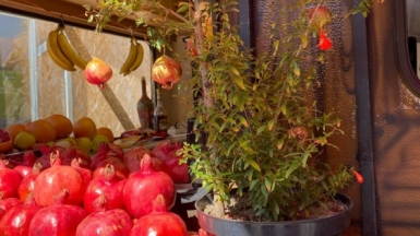 Фото наших Странников