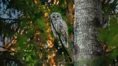 Фото: Erik Karits, unsplash.com