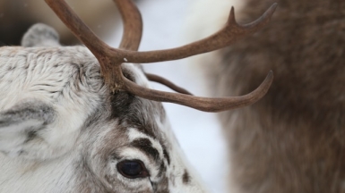 Фото: juliane liebermann on unsplash