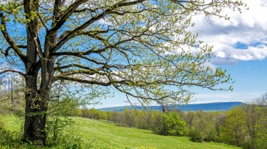 Фото нашего Странника Дмитрия Кочерыгина