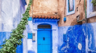 Автор: SdosRemedios, источник: visualhunt 