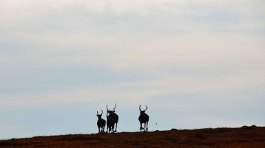 Фото из архива
