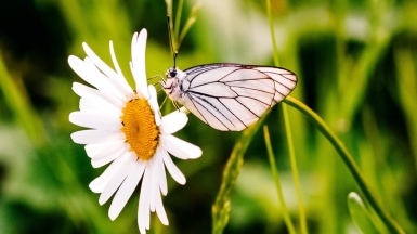 Фото: Алексей Морозов