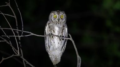 Фото нашего гида Михаила Верёвченко