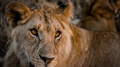 Фото: Peter Mitchell, unsplash.com