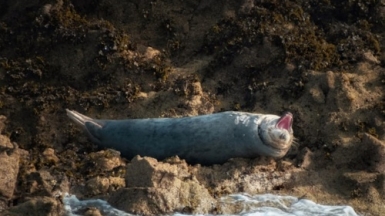 Фото Kevin Mueller для unsplash.com