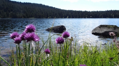 Фото нашей Странницы Веры Елькиной